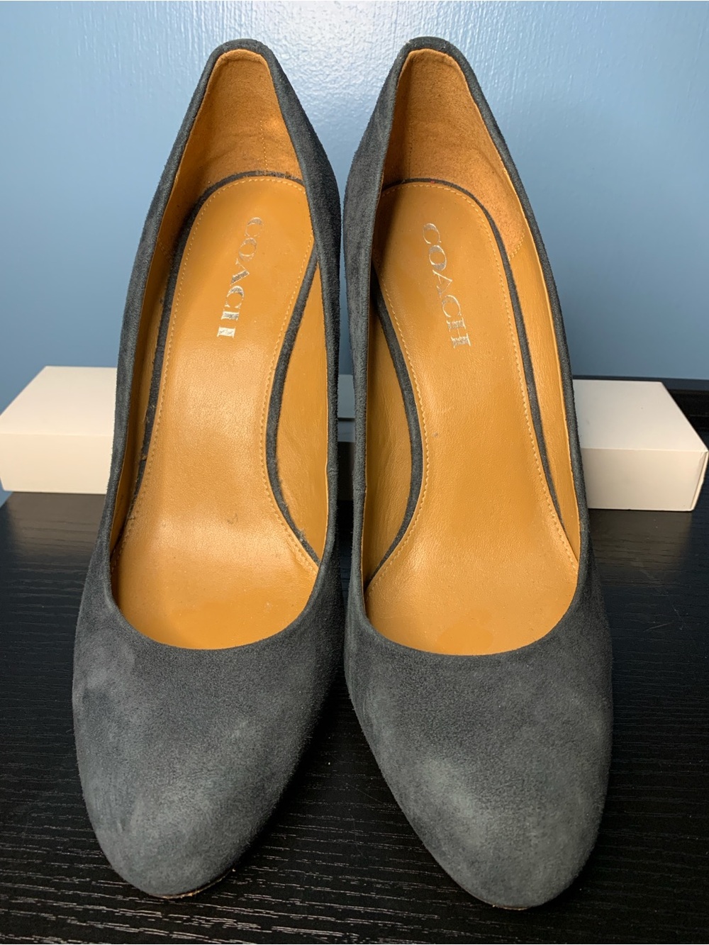 COACH Women's Raleigh Navy Suede Classic Wedge